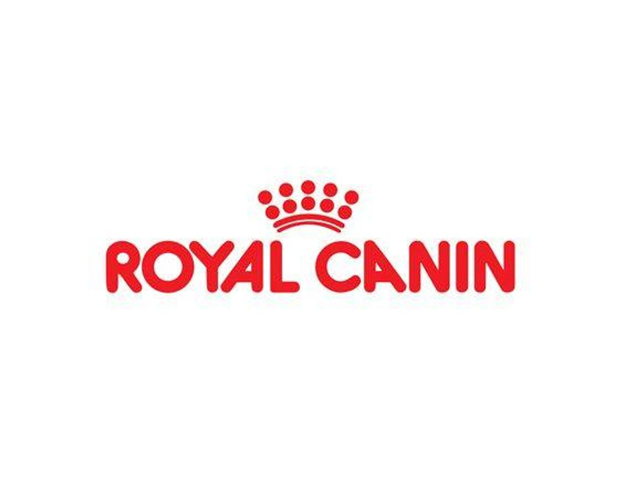 Product Royal Canin 