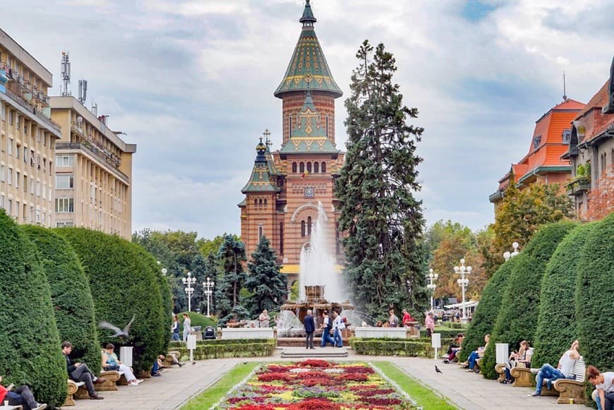 Place Timișoara