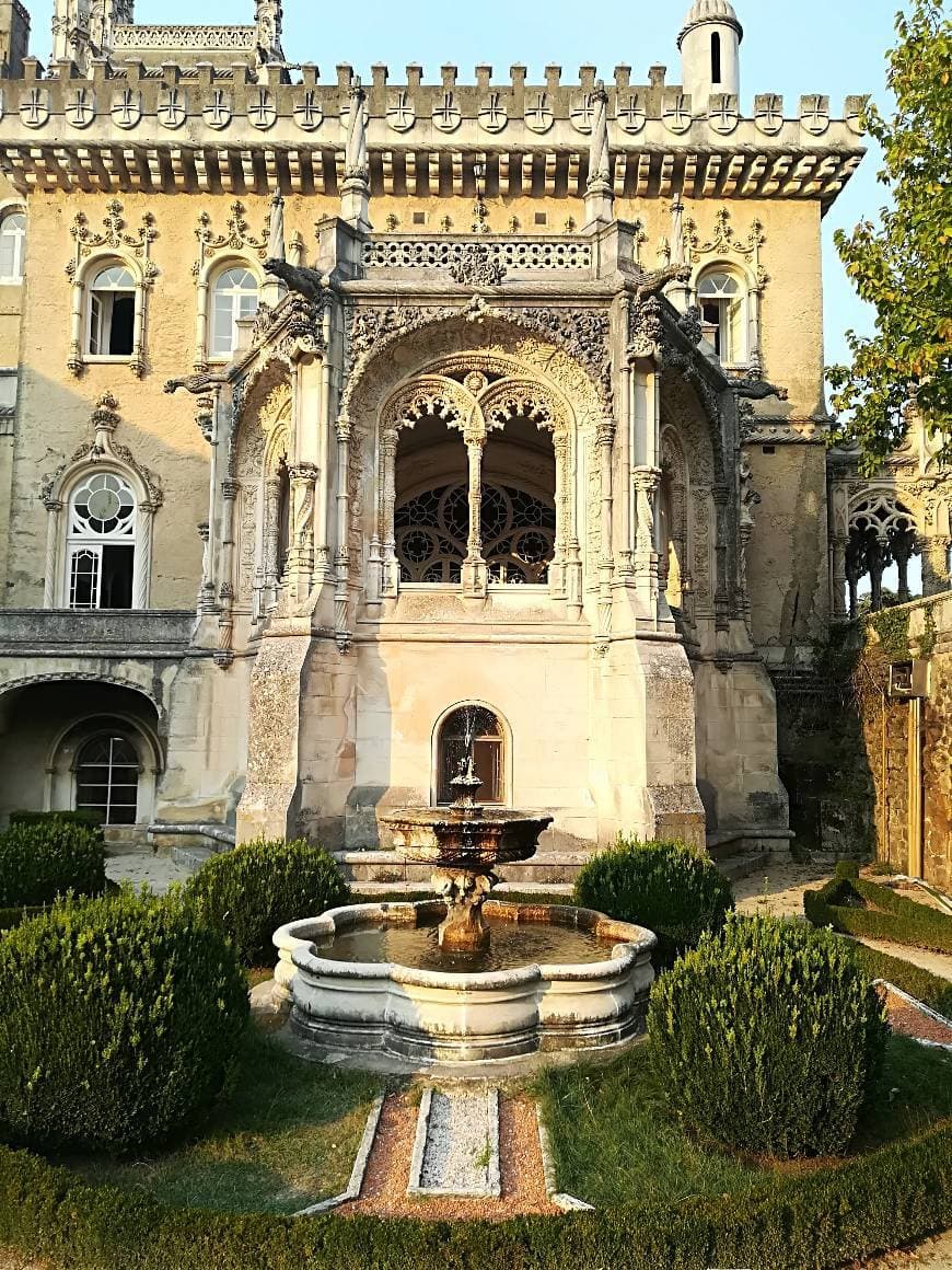 Lugar Mata Nacional do Buçaco