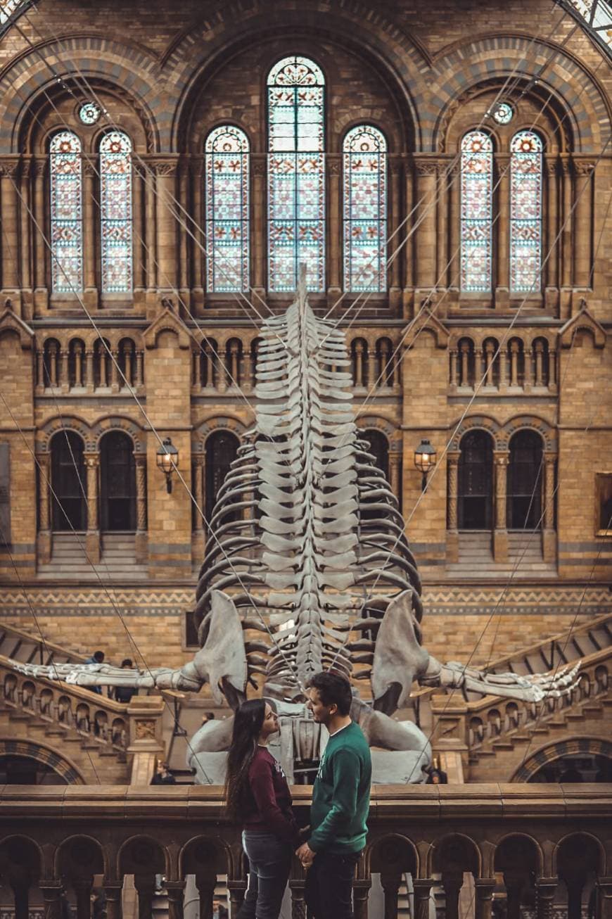 Place Natural History Museum