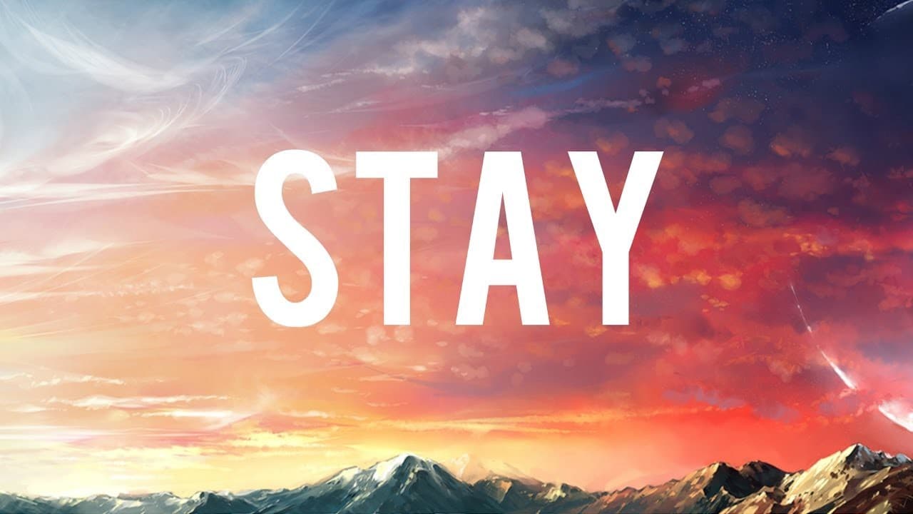 Canción Stay