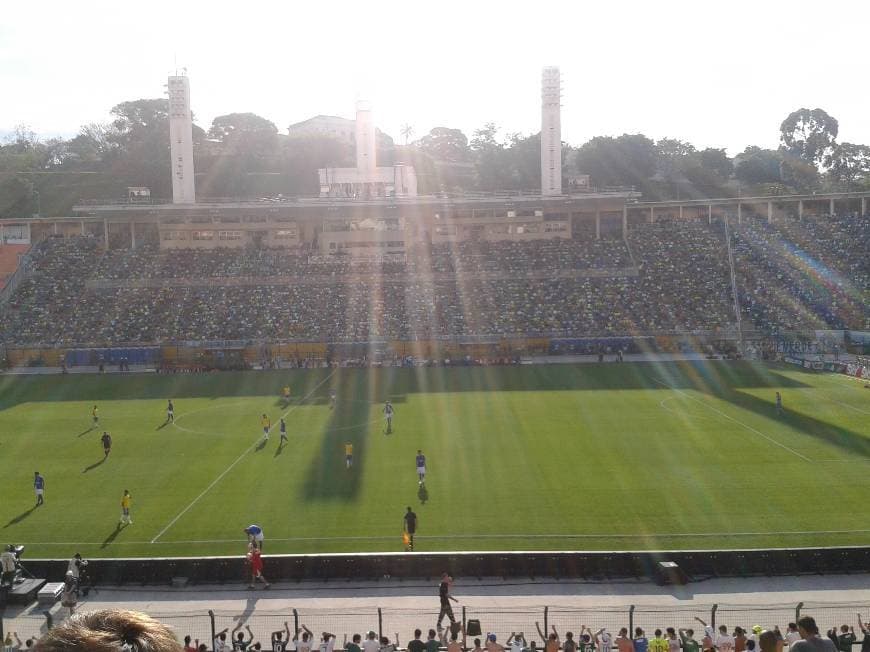 Lugar Estádio Municipal Paulo Machado de Carvalho