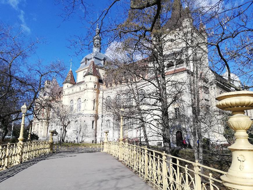 Place Castillo de Vajdahunyad