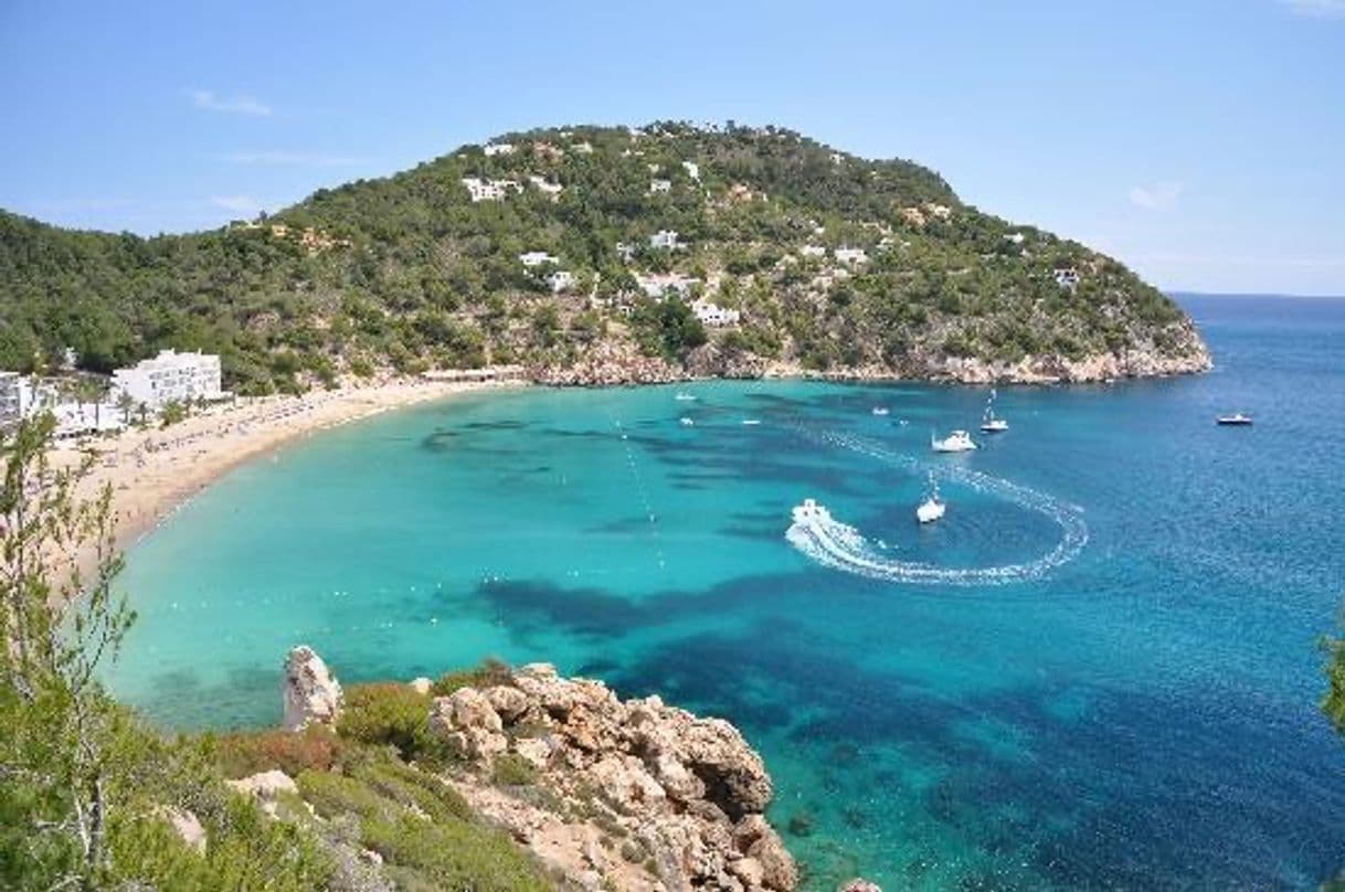 Restaurantes Cala San Vicente