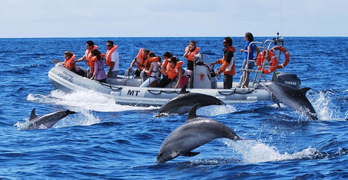 Lugar Futurismo Azores Adventures