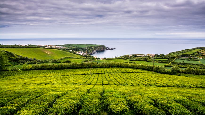 Lugar Fábrica de Chá do Porto Formoso