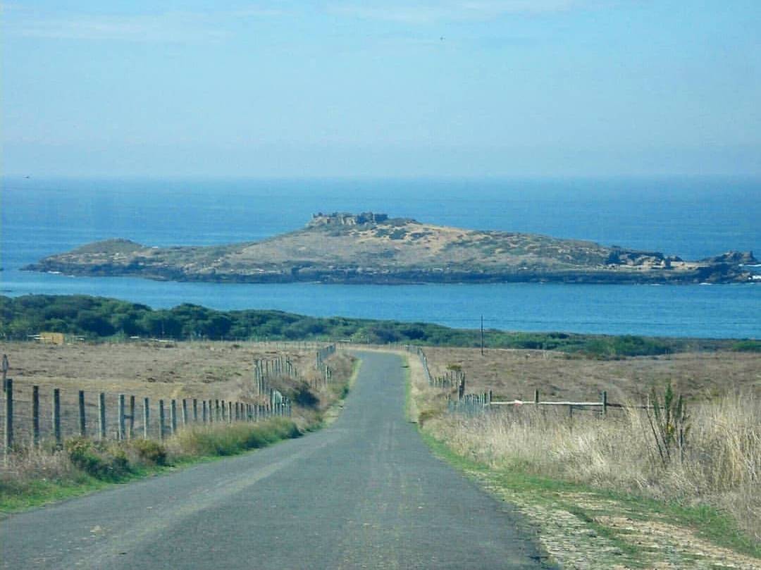 Place Ilha do Pessegueiro