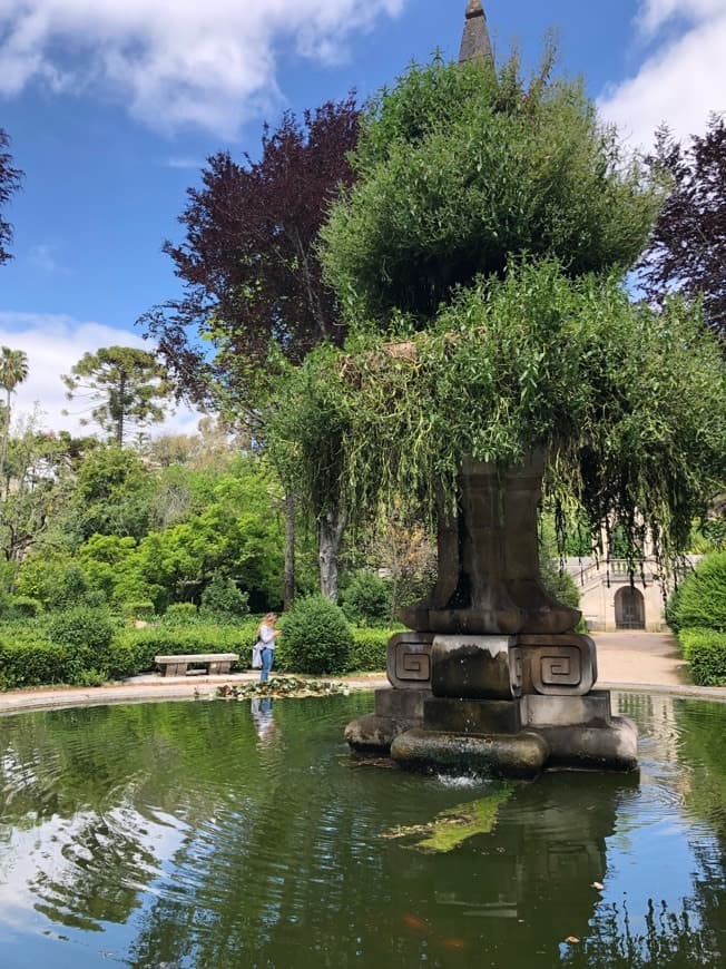 Place Jardim Botânico da Universidade de Coimbra