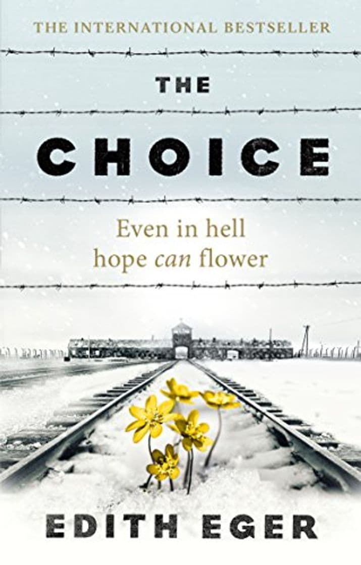 Book The Choice: A true story of hope