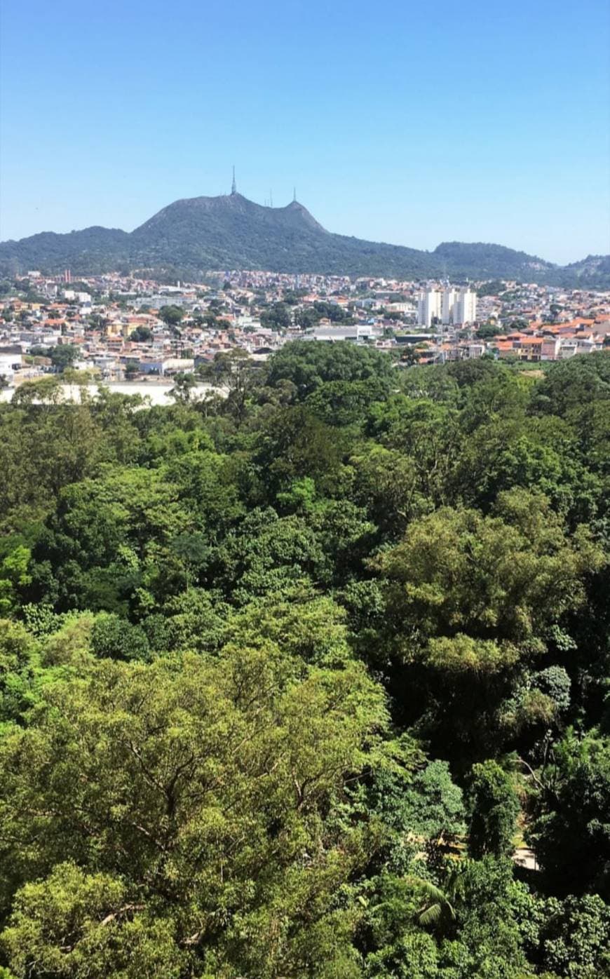 Lugar Pico do Jaraguá