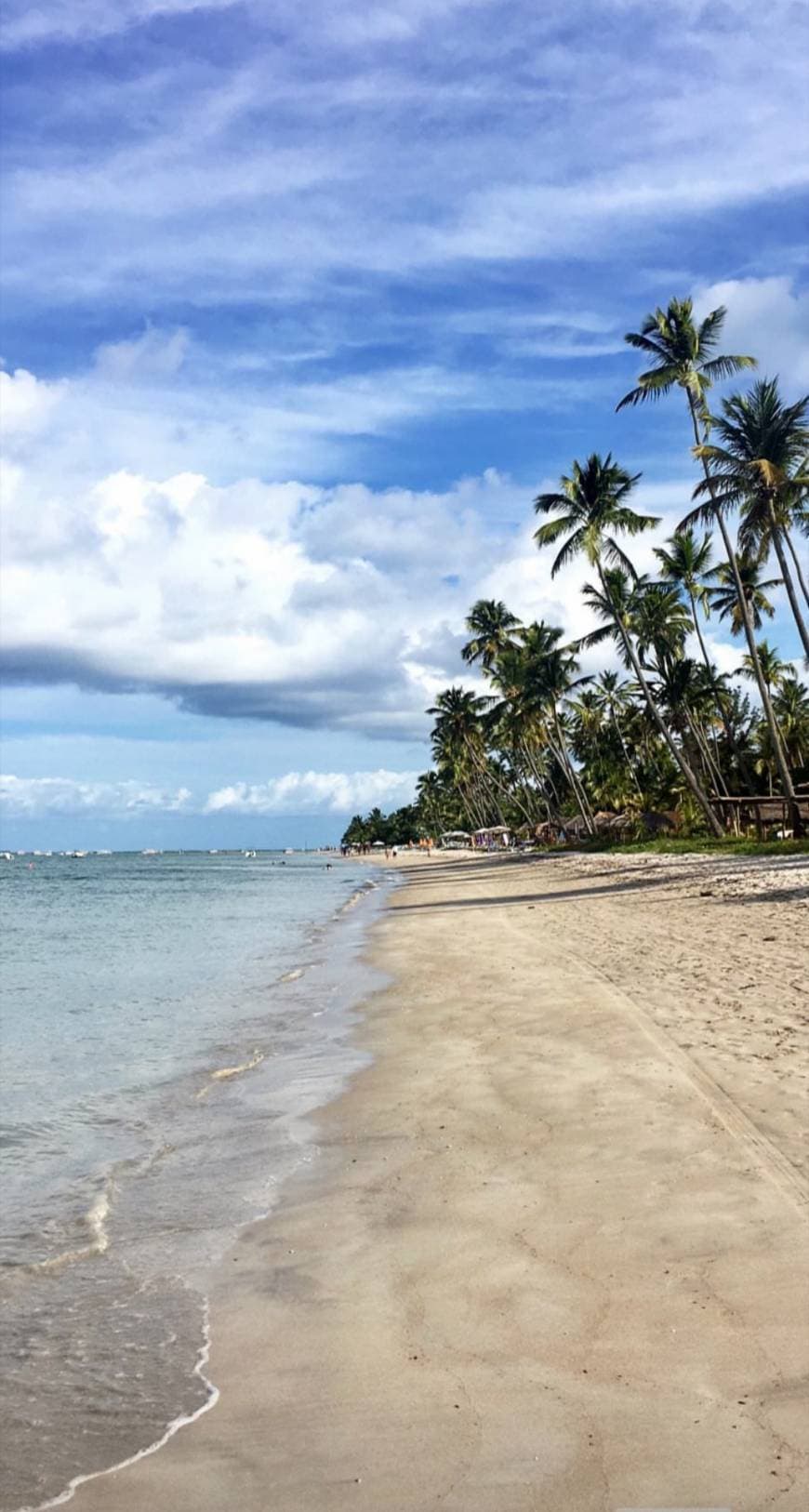 Place Praia dos Carneiros