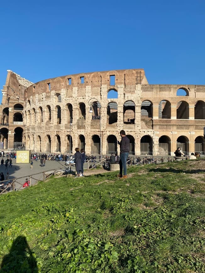 Lugar Coliseo de Roma