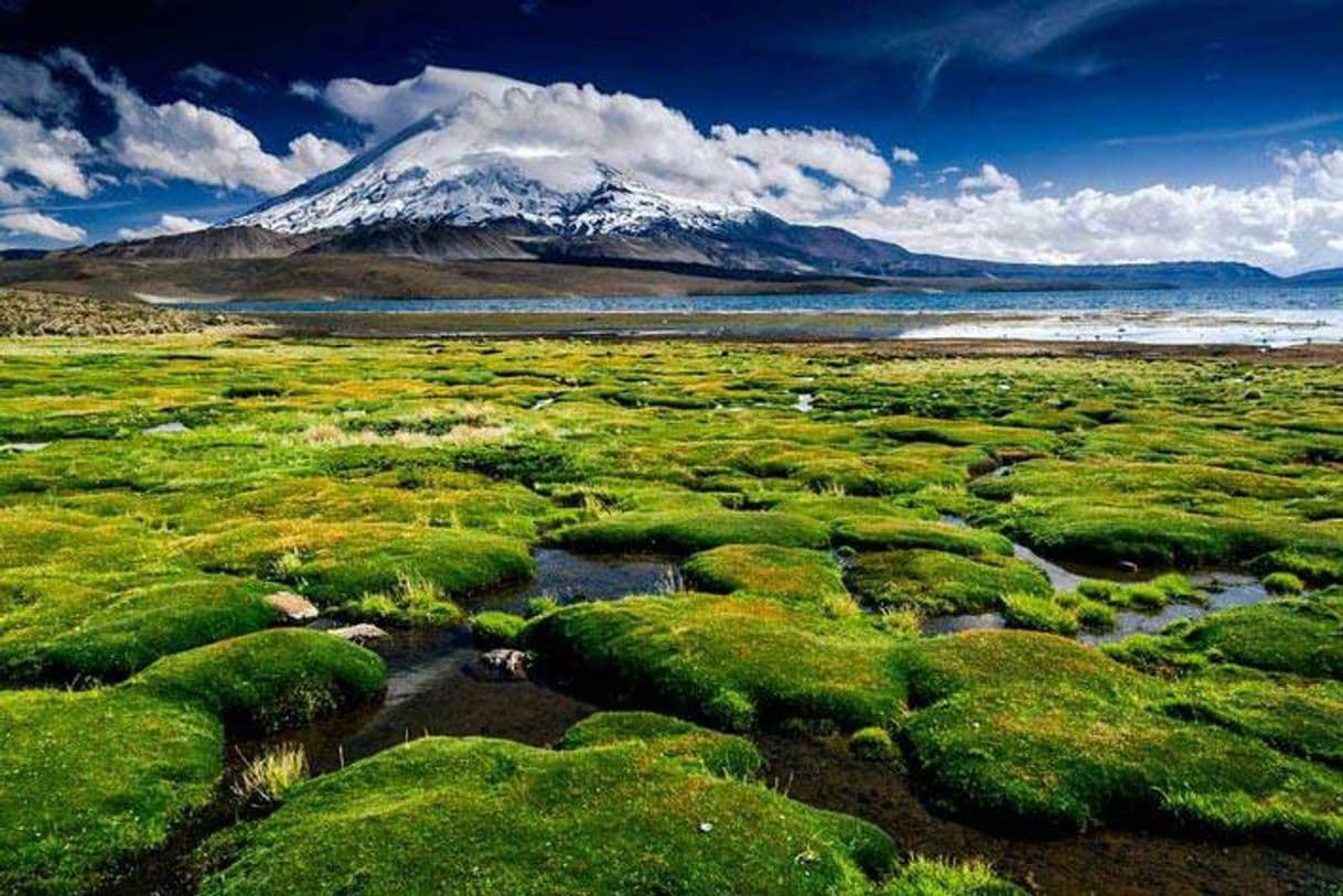 Lugar Parque Nacional Lauca