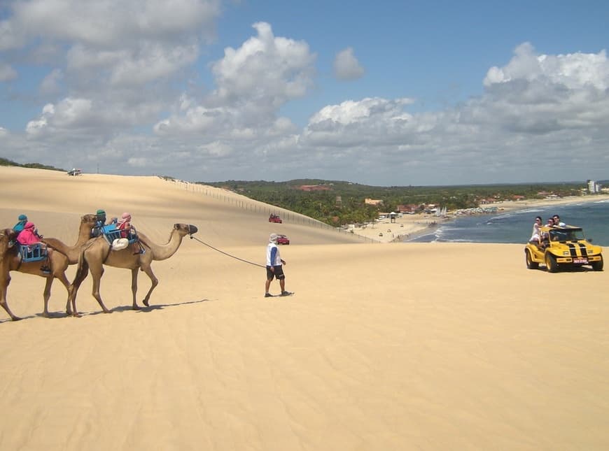 Lugar Praia de Genipabu