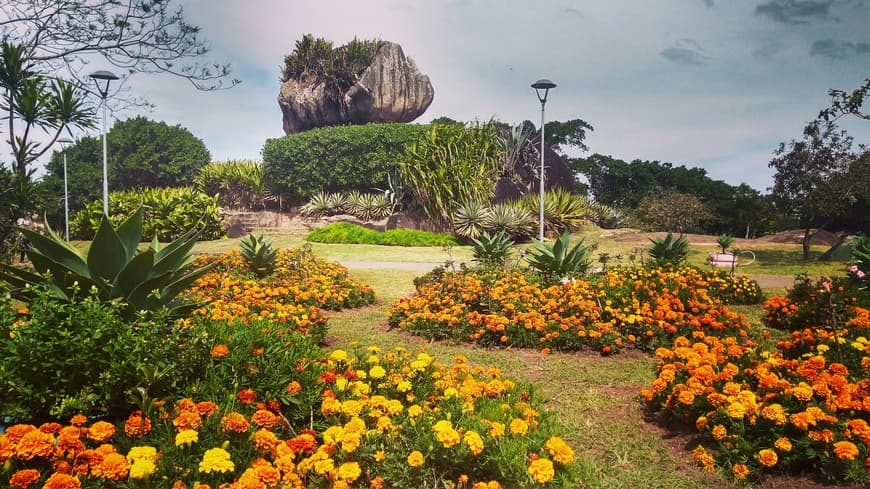 Place Parque Pedra da Cebola