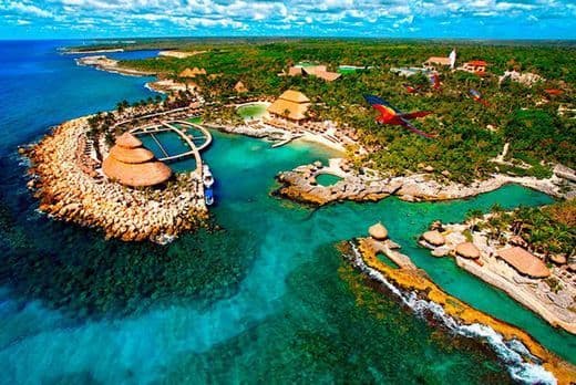 Place XCARET