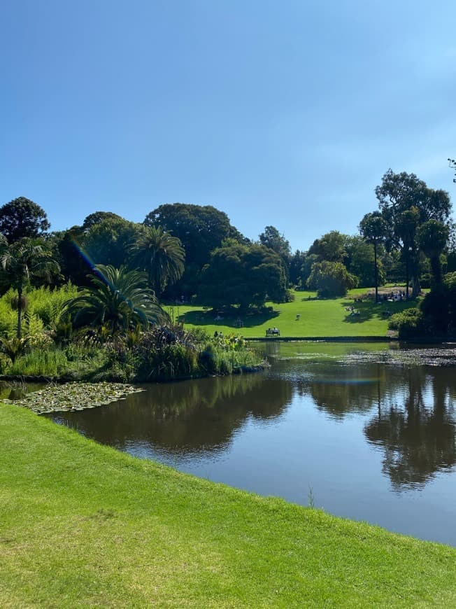 Lugar Royal Botanic Gardens