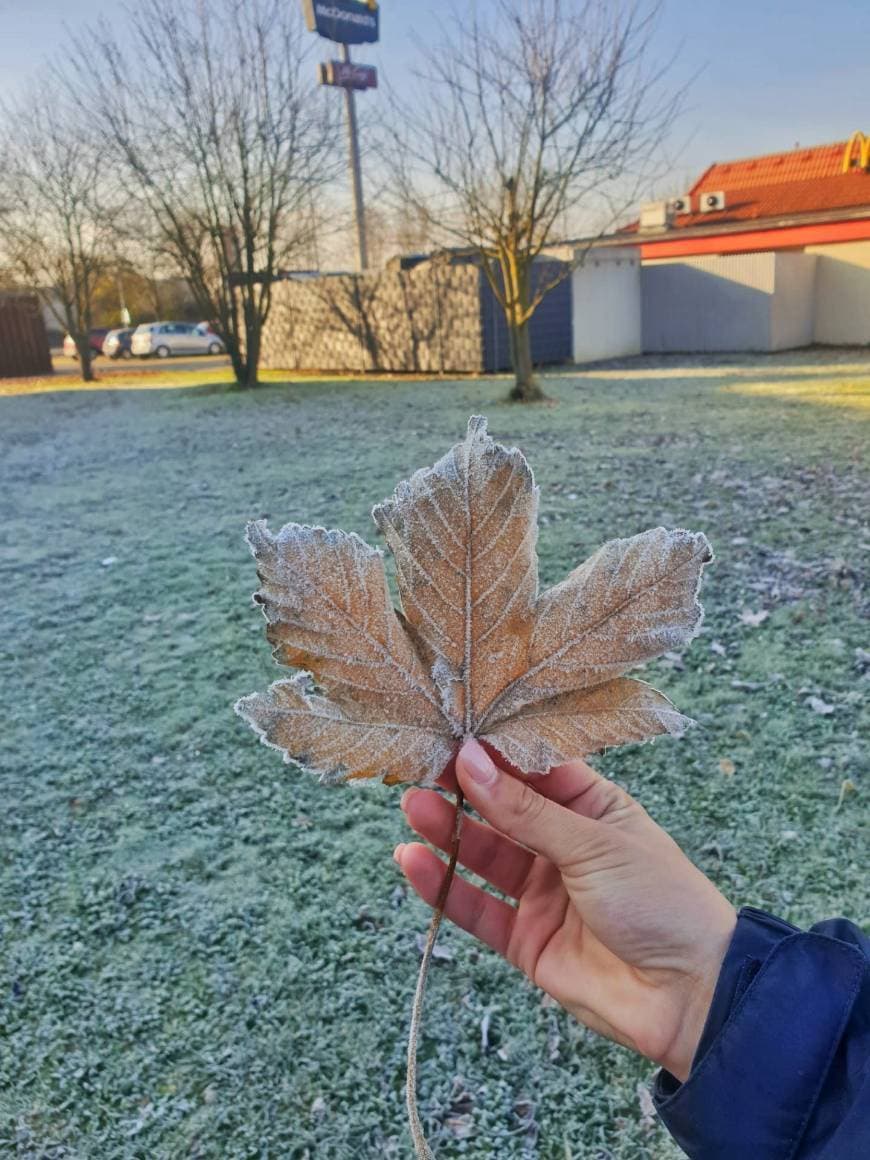 Lugar Alemania