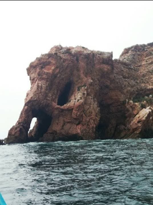 Lugar Berlenga Grande Island