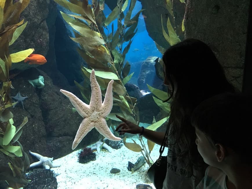 Place Oceanario de Lisboa