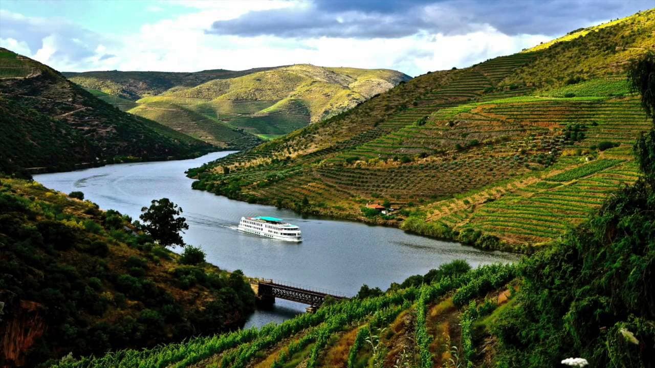 Place Alto Douro Wine Region (UNESCO)