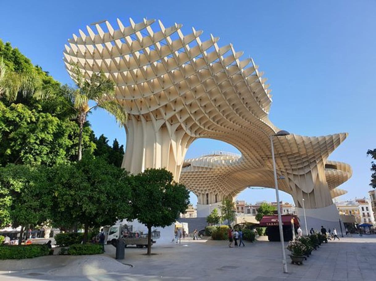 Lugar Setas de Sevilla