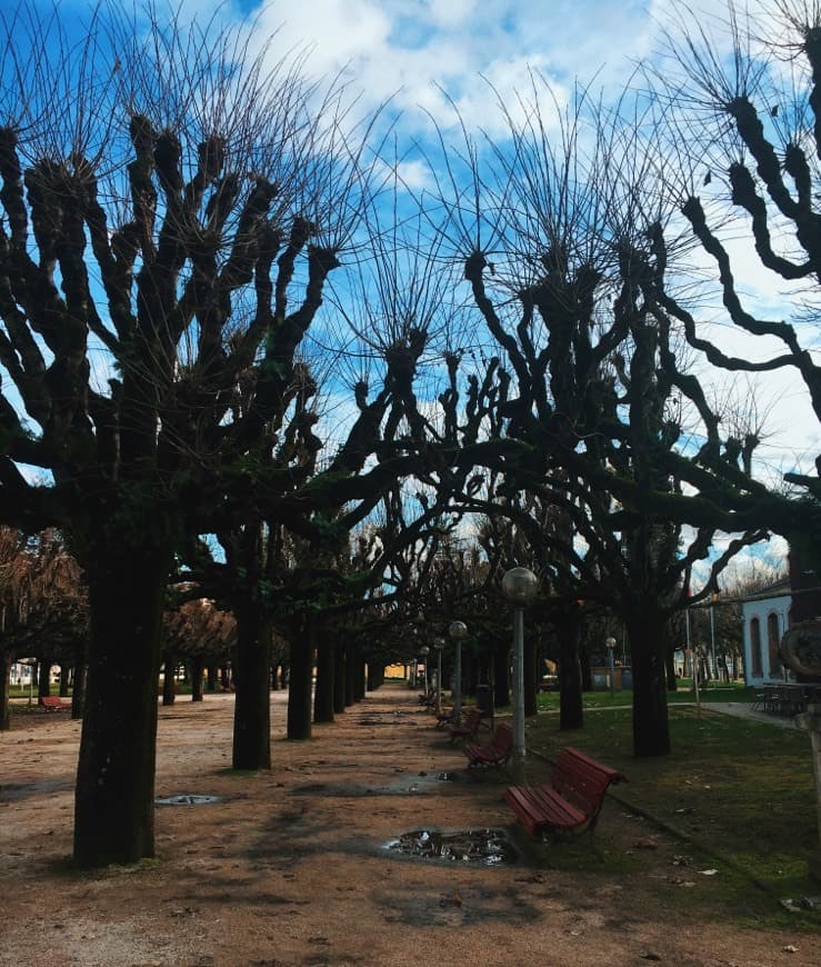 Lugar Park Verde do Mondego