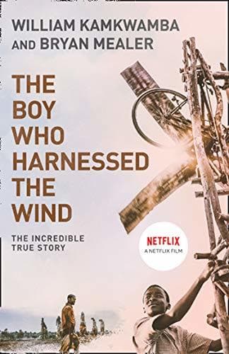 Movie The Boy Who Harnessed the Wind