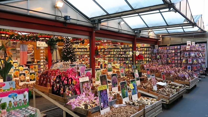 Lugar Bloemenmarkt