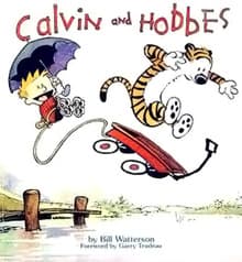 Book Calvin and Hobbes