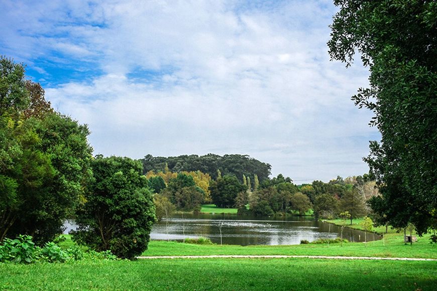 Lugar Parque da Cidade