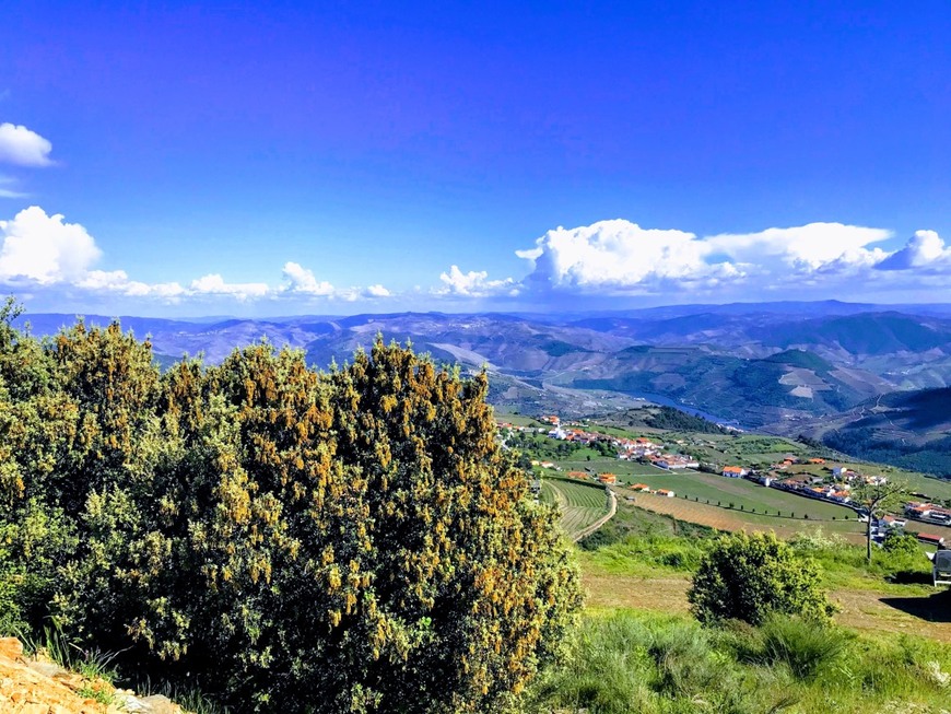 Lugar Ermida de São Domingos de Provesende