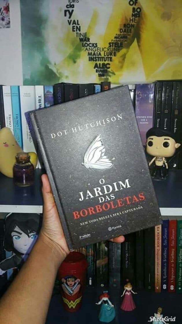 Fashion Jardim das Borboletas