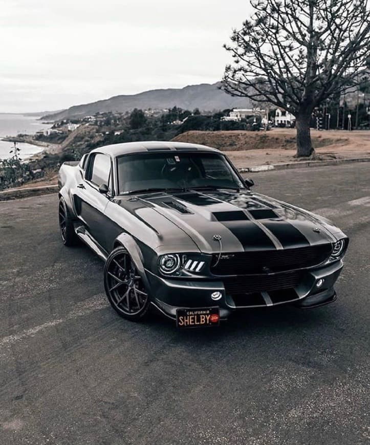 Fashion Mustang Eleanor GT500