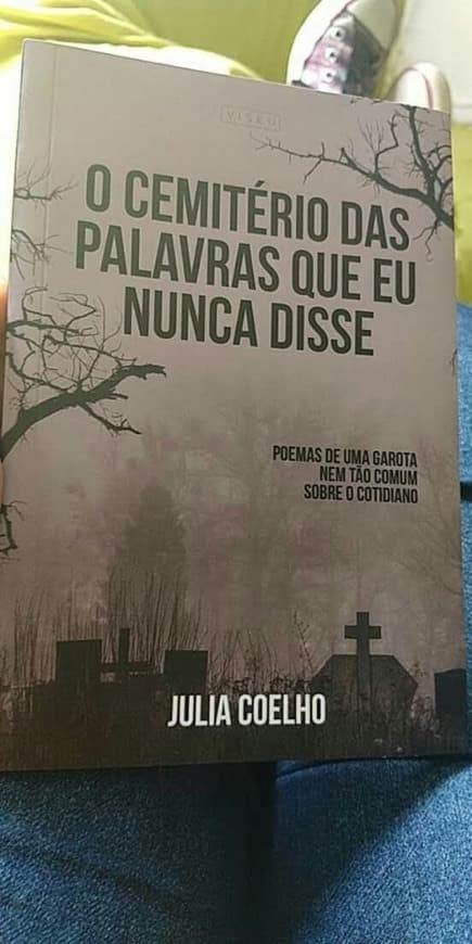 Book O Cemitério das Palavras que eu nunca disse