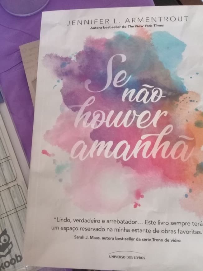 Book Se não houver amanhã