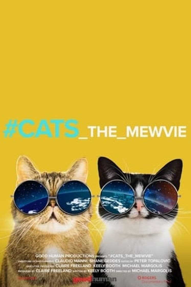 Película #cats_the_mewvie