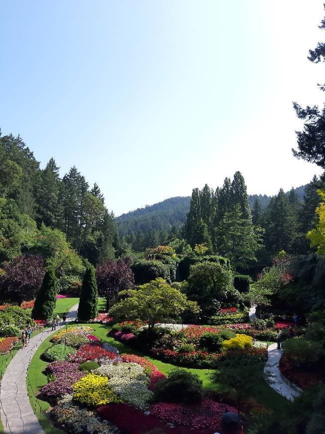 Lugar Butchart Gardens