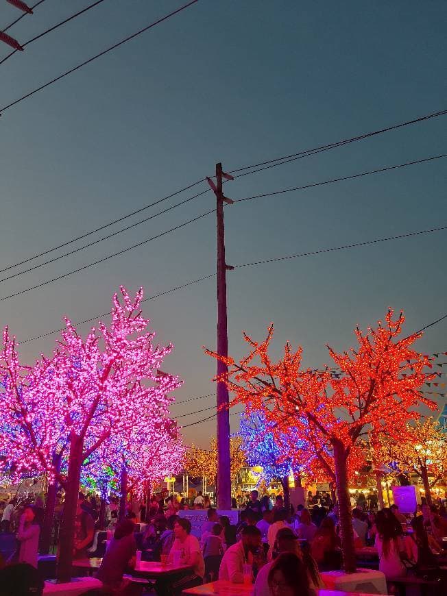 Lugar Richmond Night Market