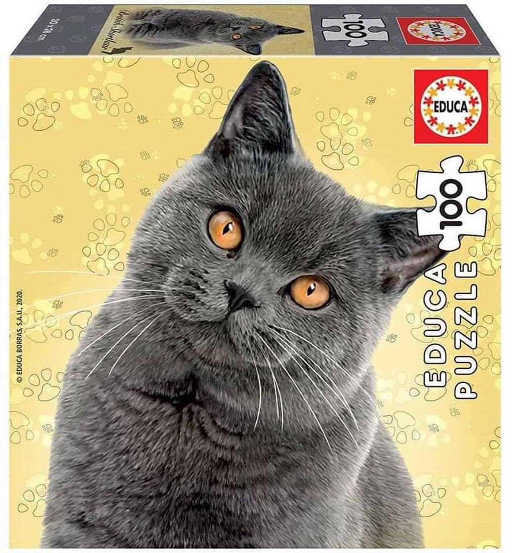 Producto Puzzle Educa 100 British Shorthair