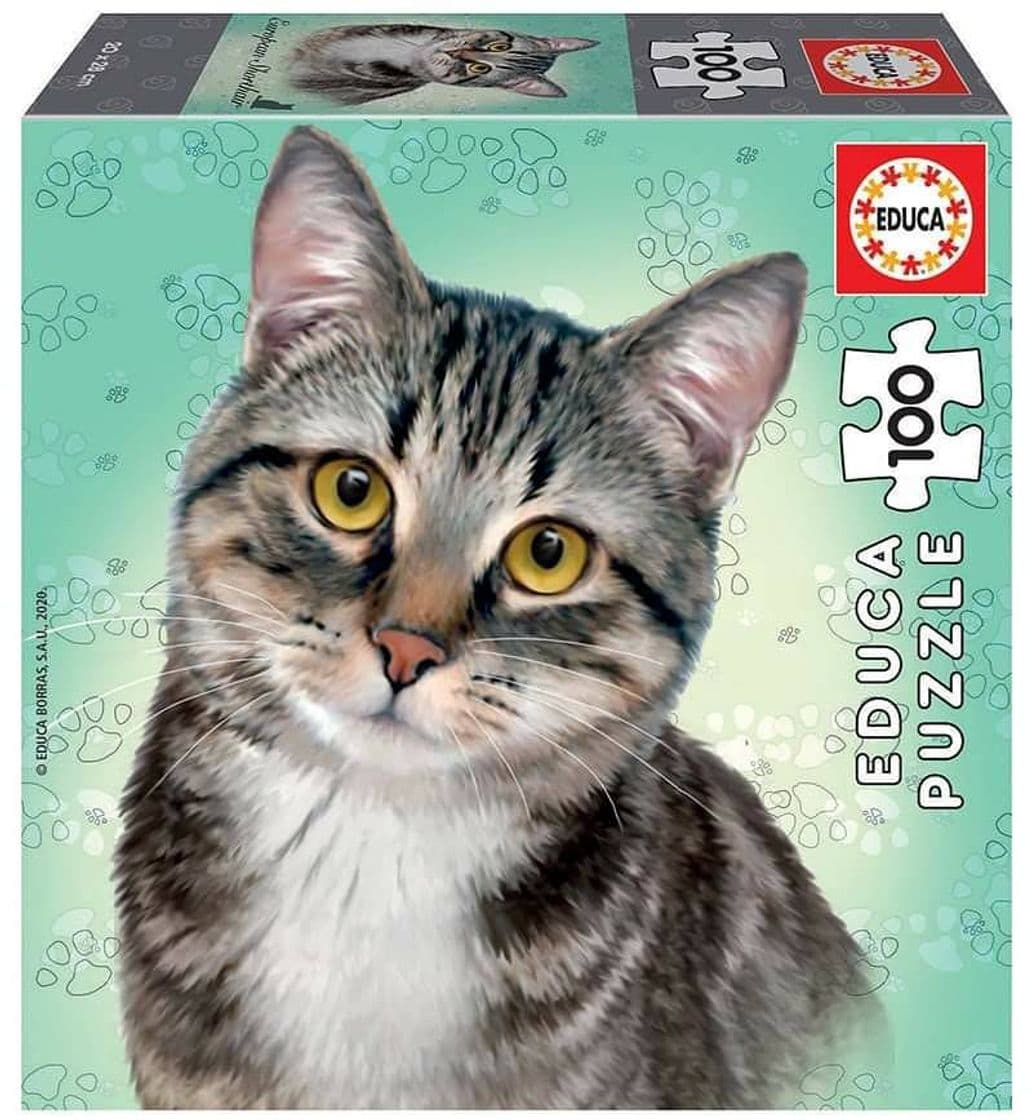 Producto Puzzle Educa 100 Gato Europeu