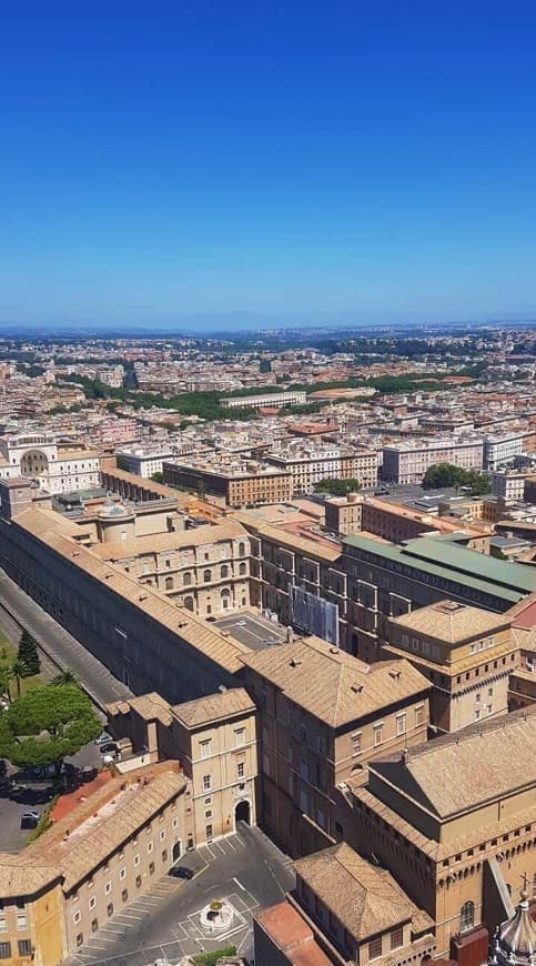 Lugar Basílica de San Pedro