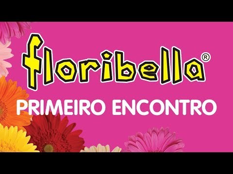 Canción Primeiro Encontro