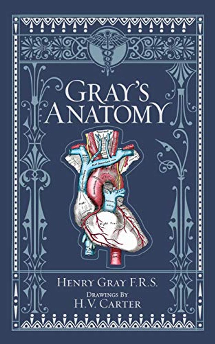 Book Gray's Anatomy