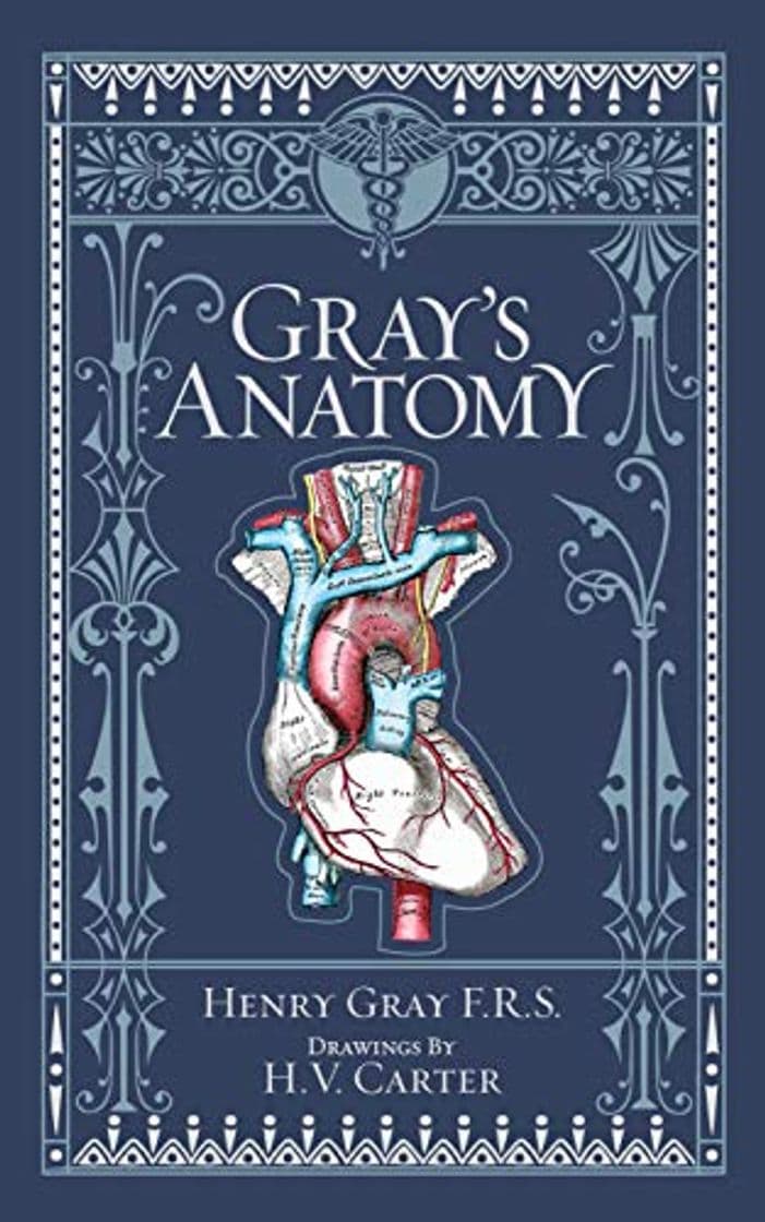 Libro Gray's Anatomy