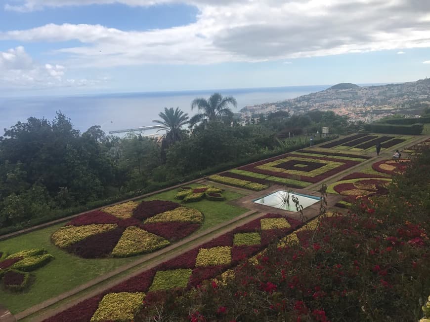 Lugar Jardín Botánico de Madeira