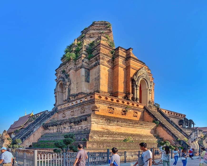 Place Wat Chedi Luang