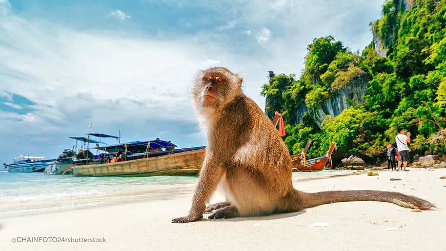 Lugar Monkey Beach