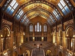 Place Natural History Museum