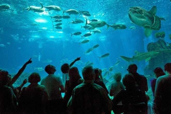 Place Oceanário de Lisboa